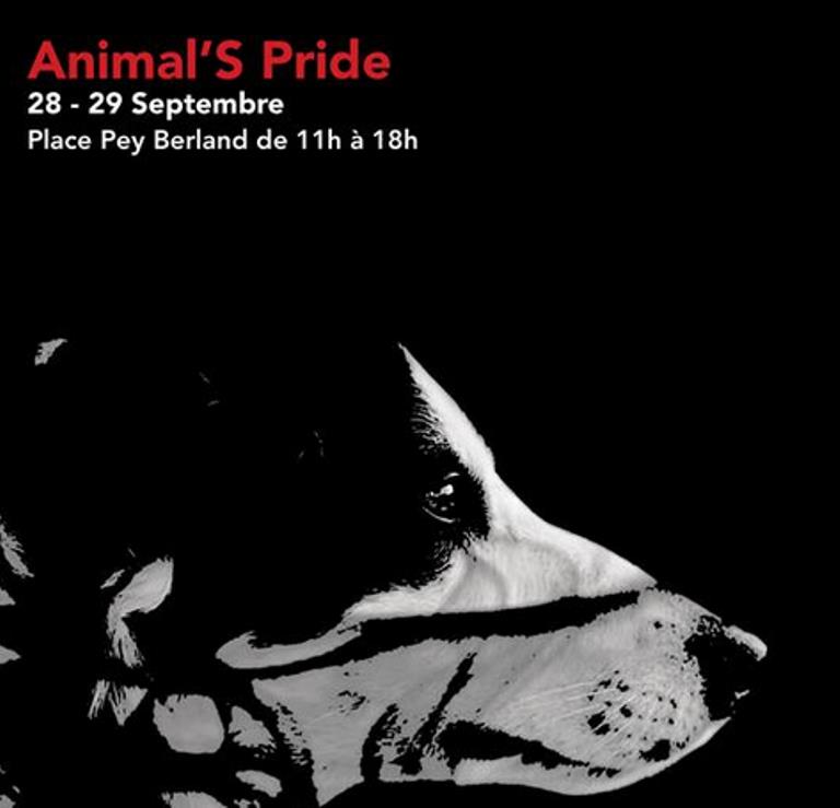 Animal's Pride: samedi 28 septembre,...